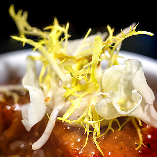 The fourth course of the vegetarian Eatrenalin menu 'Green Dimensions Excellent' In the room 'Ocean', we will indulge you with sensual tastes from the depth of the ocean.