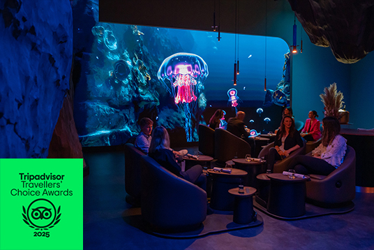 Travellers' Choice Award 2024 & 2025 Eatrenalin récompensé par un Travellers’ Choice Award